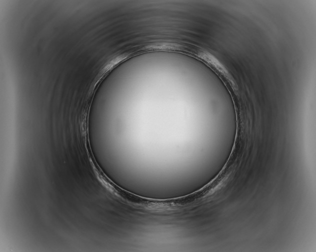 X0000087351049200704200800