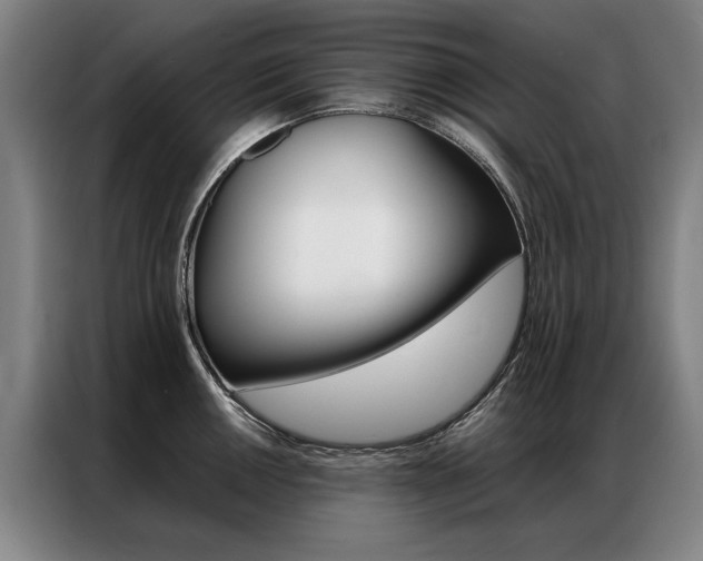 X0000087351050200704200800