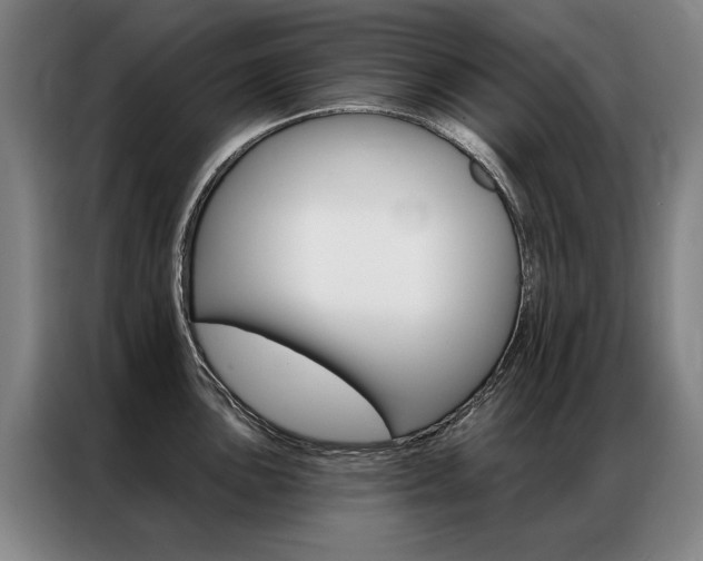 X0000087351051200704200800