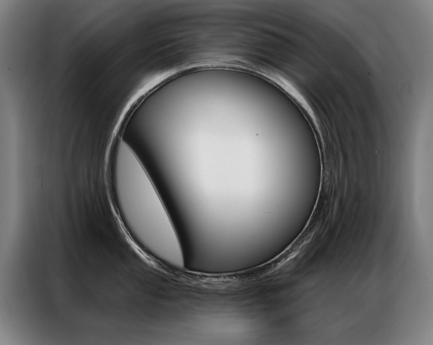 X0000087351053200704200800