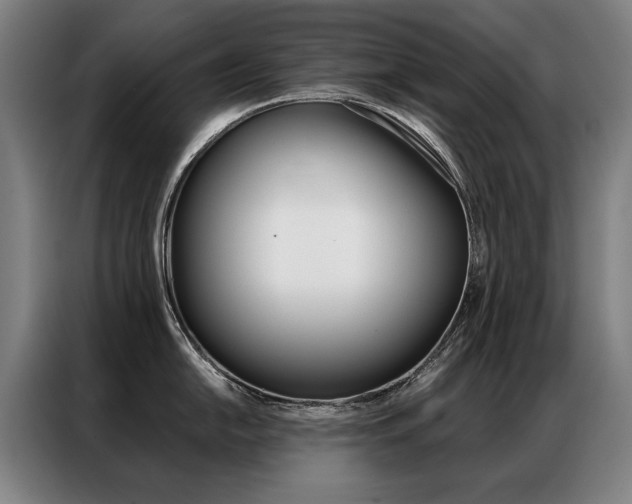 X0000087351054200704200800