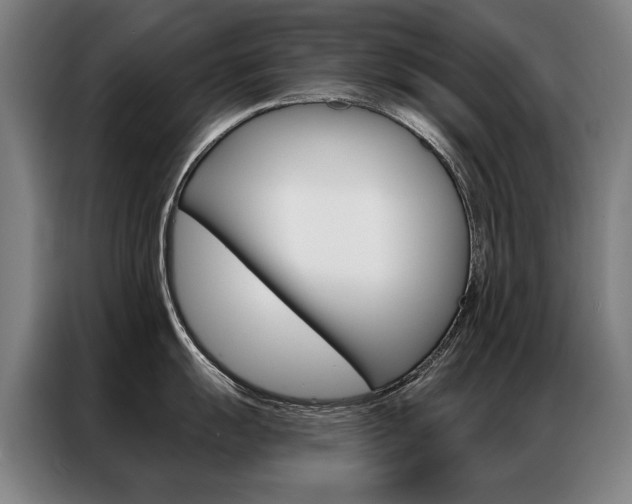 X0000087351055200704200800