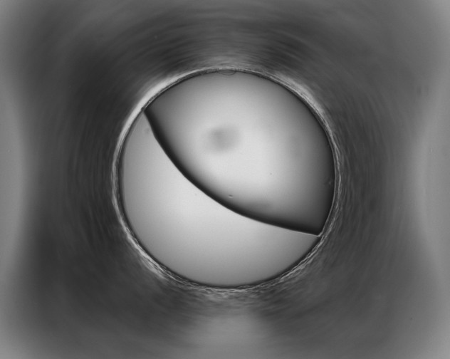 X0000087351056200704200800