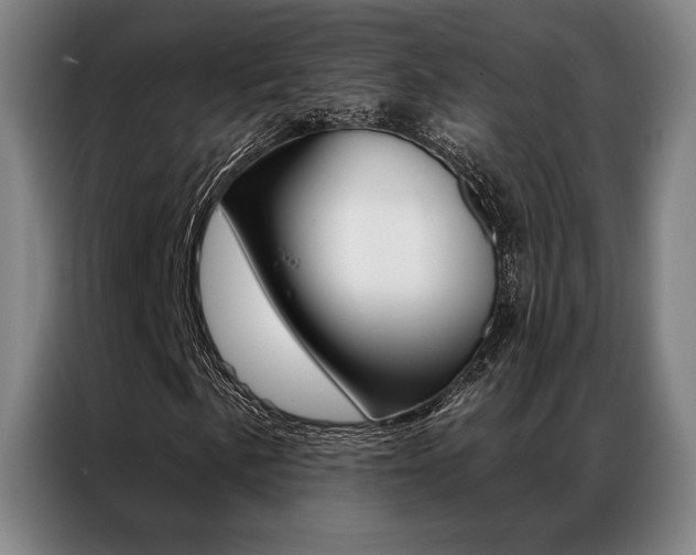 X0000087351057200704200800