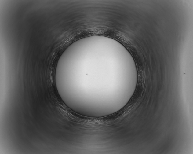 X0000087351058200704200800