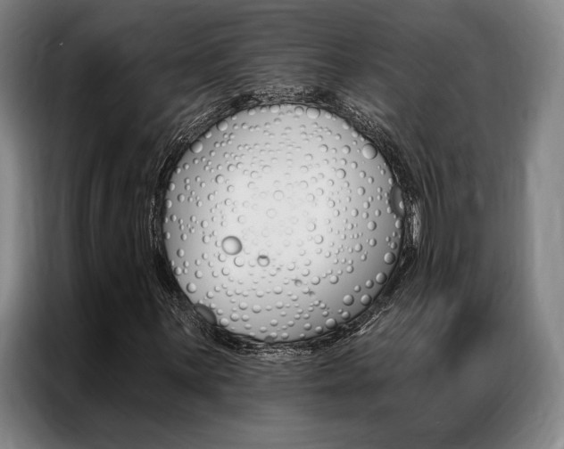 X0000087351059200704200800