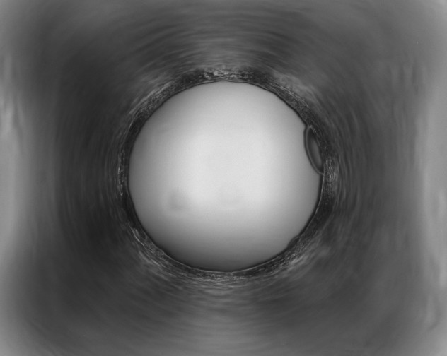 X0000087351060200704200800