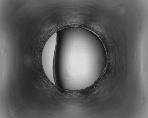 X0000087351061200704200759