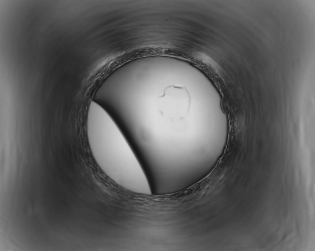 X0000087351064200704200759