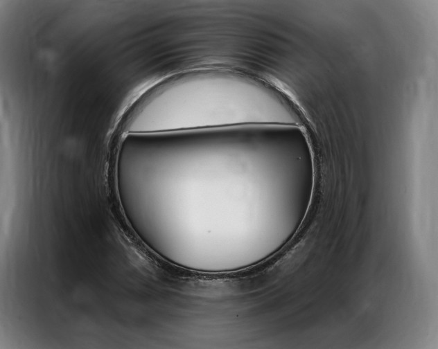 X0000087351066200704200759