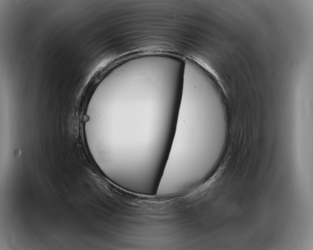 X0000087351067200704200759