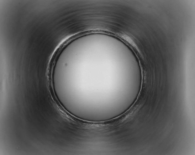 X0000087351068200704200759