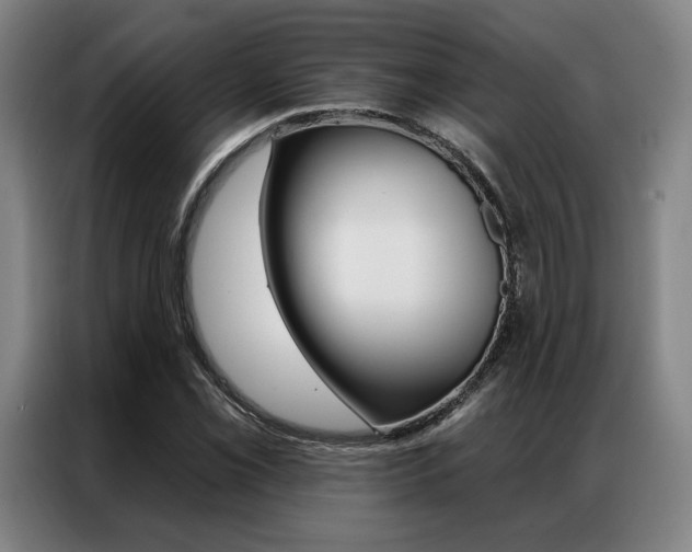 X0000087351069200704200759