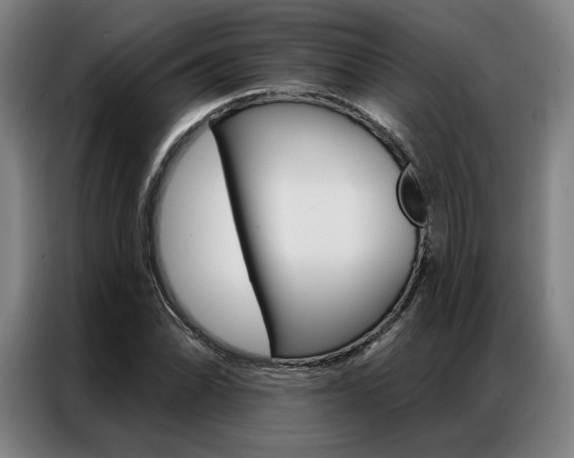 X0000087351070200704200759