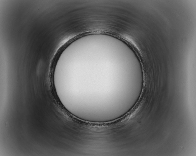 X0000087351071200704200759