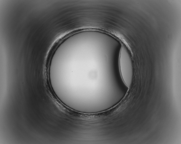 X0000087351072200704200759