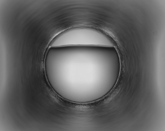 X0000087351073200704200759