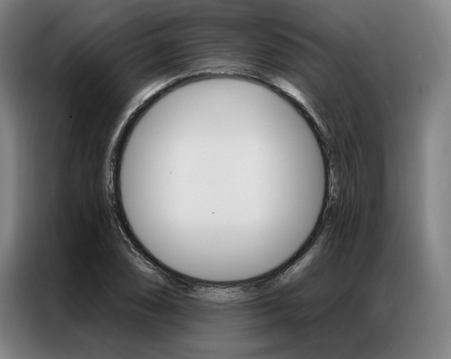 X0000087351074200704200759