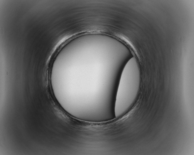 X0000087351075200704200759