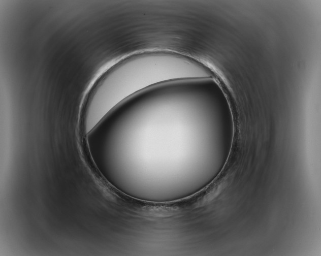 X0000087351077200704200759