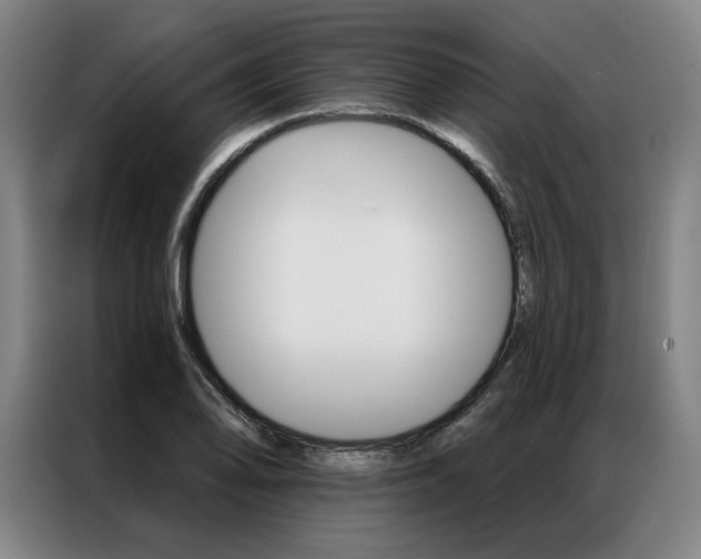 X0000087351078200704200759