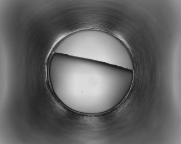 X0000087351079200704200759