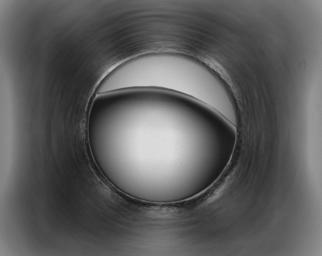 X0000087351081200704200759