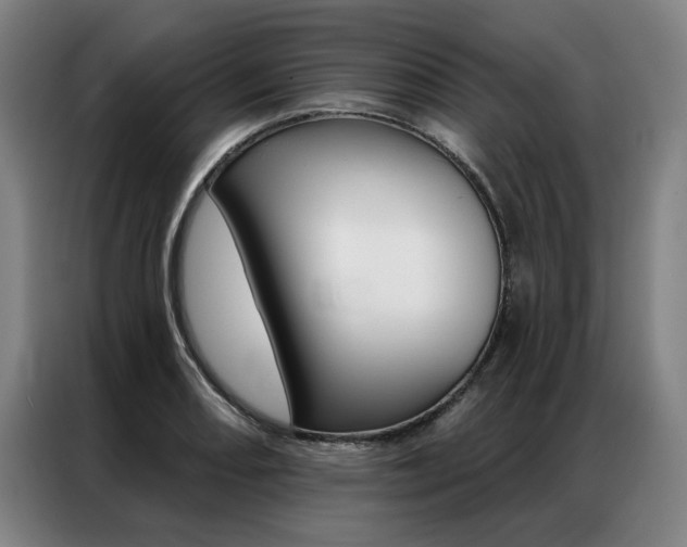 X0000087351082200704200759