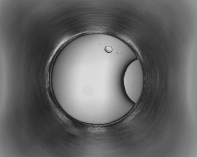 X0000087351083200704200759