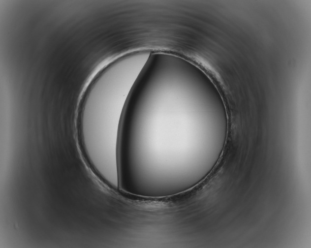 X0000087351085200704200759