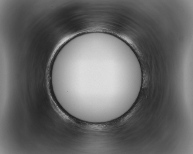 X0000087351086200704200759