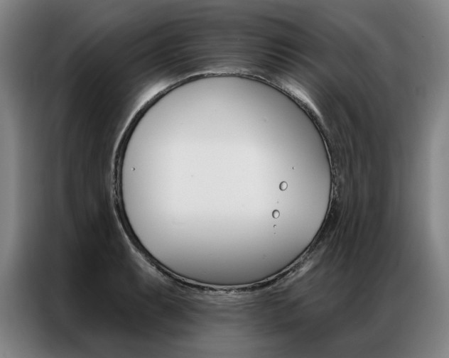 X0000087351087200704200759