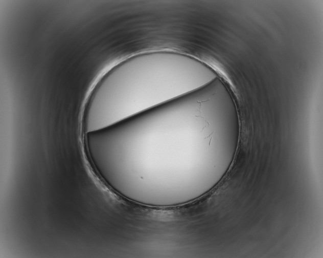 X0000087351088200704200759