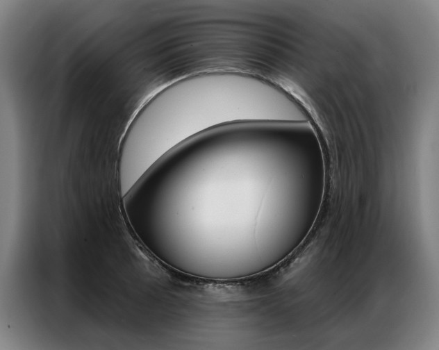 X0000087351089200704200759