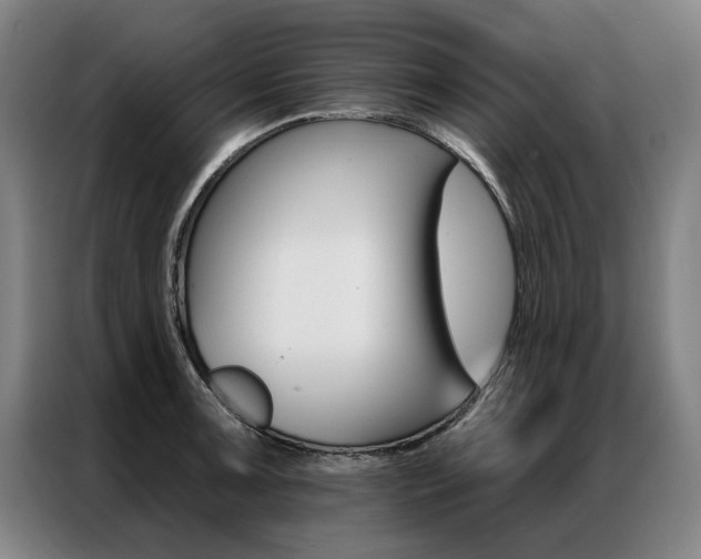 X0000087351091200704200759