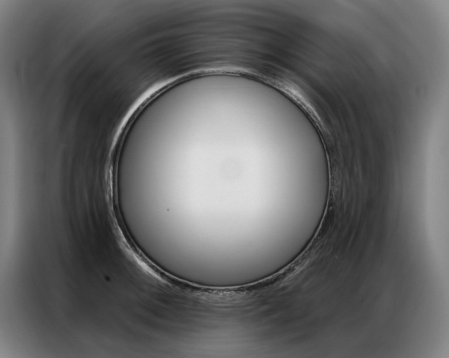X0000087351092200704200759