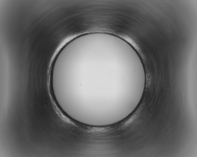 X0000087351094200704200759