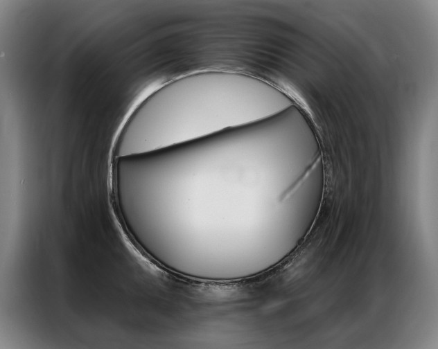 X0000087351095200704200759