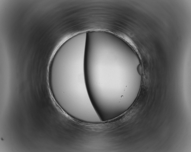 X0000087351096200704200759