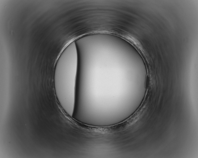 X0000087351097200704200759