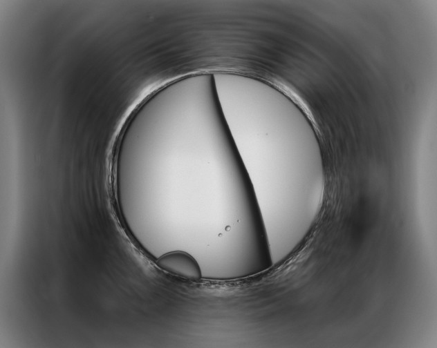 X0000087351099200704200759