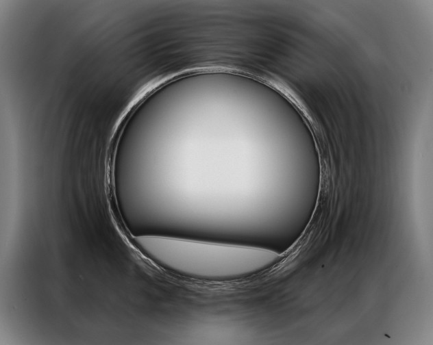 X0000087351101200704200759