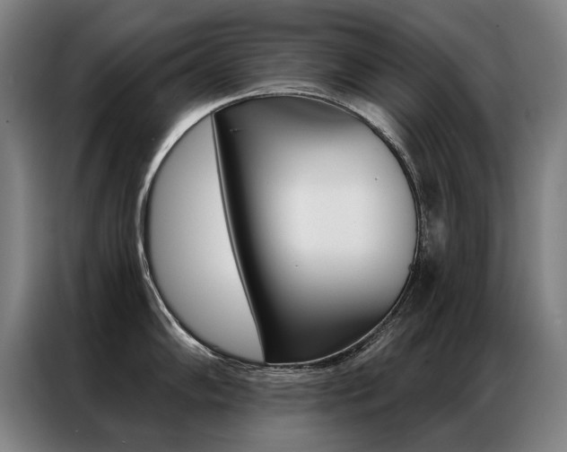 X0000087351102200704200759