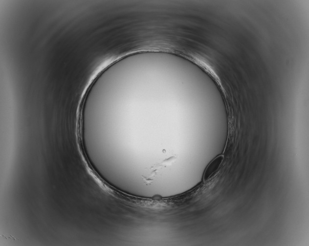 X0000087351103200704200759