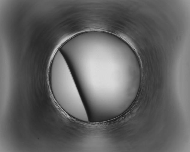 X0000087351104200704200759