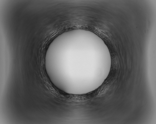X0000087351105200704200758