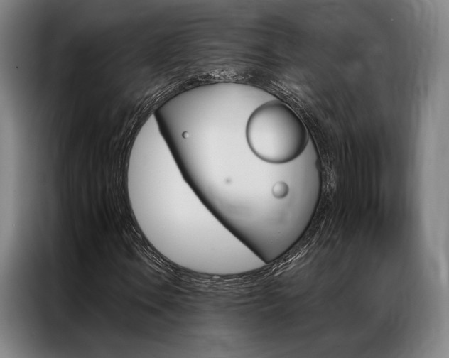 X0000087351106200704200758