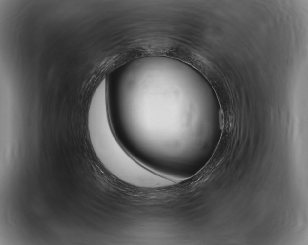 X0000087351108200704200758