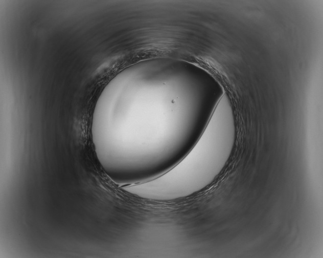 X0000087351110200704200758