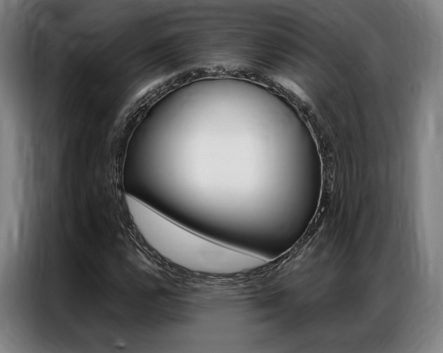 X0000087351112200704200758
